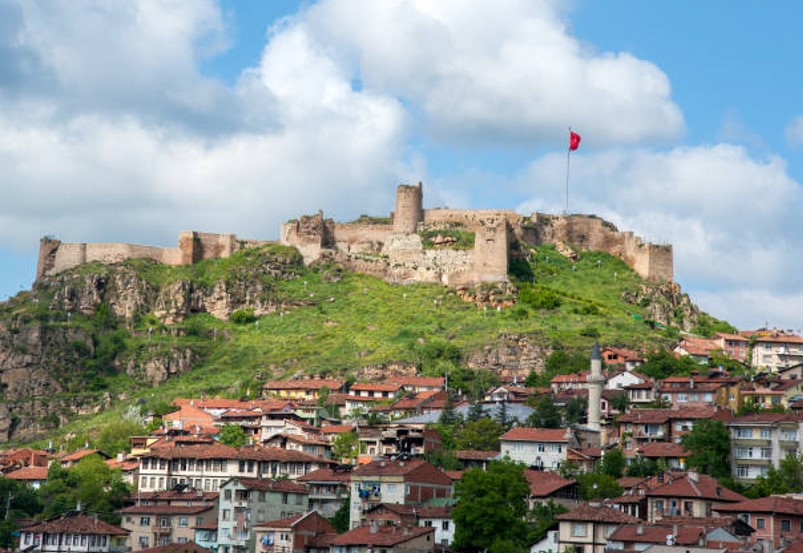 KASTAMONU ARAÇ BEKTÜRE KÖYÜNDE 1.135 M² TARLAMIZ SATILIKTIR. - KASTAMONU ARAÇ fotoğraf 7
